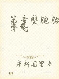 第章双胞胎姐妹齐飞