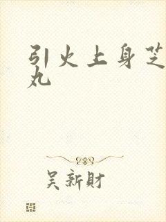 引火上身芝麻糖丸