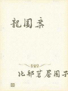 龙图案