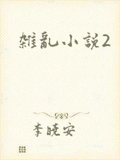 杂乱小说2