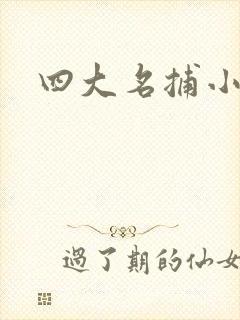 四大名捕小说