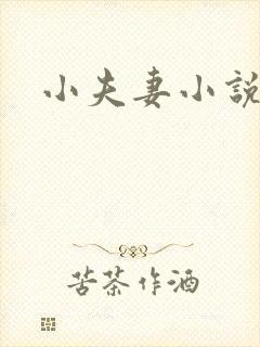 小夫妻小说