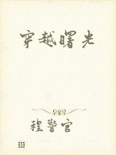 穿越曙光封面