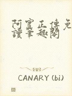 阿宾正传免费阅读笔趣阁