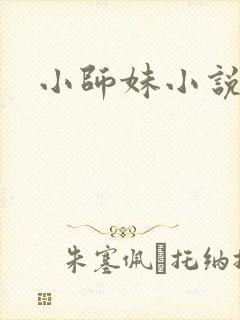 小师妹小说封面