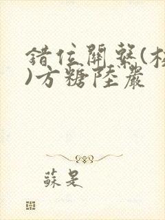 错位关系(校园)方糖陆岩封面