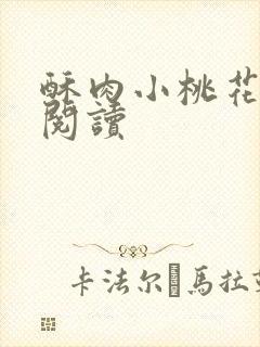 酥肉小桃花全文阅读