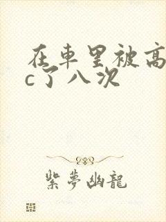 在车里被高潮被c了八次