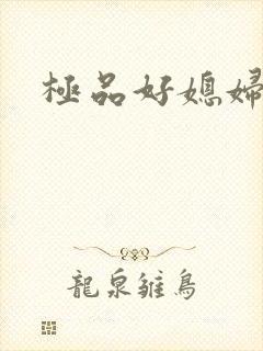 极品好媳妇封面