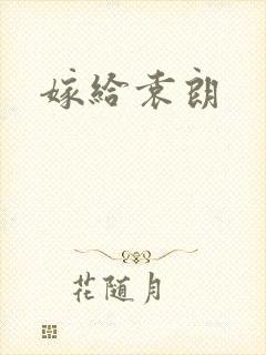 嫁给袁朗