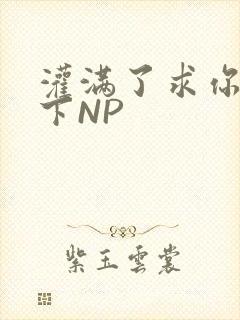 灌满了求你们停下NP