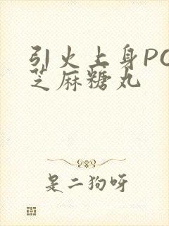 引火上身POP芝麻糖丸