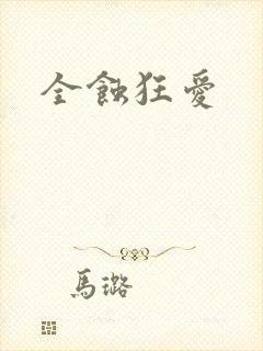 全蚀狂爱封面