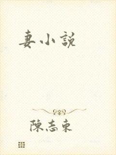 妻小说