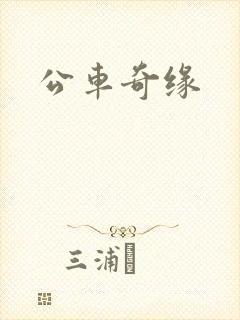 公车奇缘