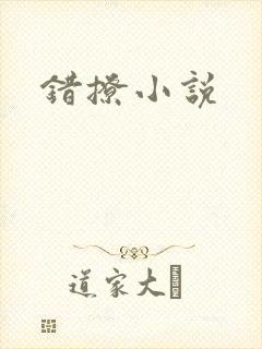 错撩小说封面