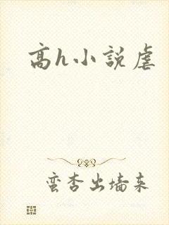 高h小说虐封面