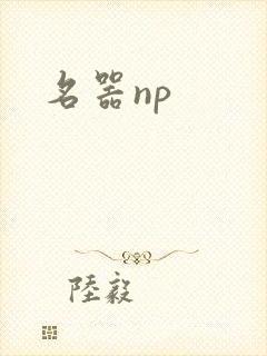名器np封面