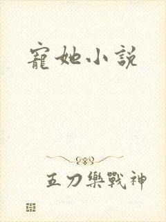 宠她小说