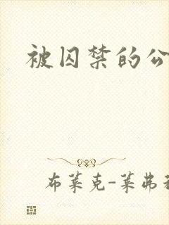 被囚禁的公主