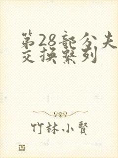 第28部分夫妇交换系列
