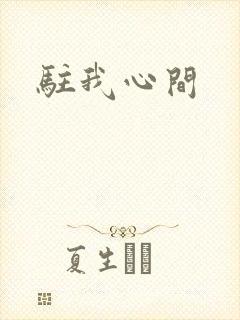 驻我心间