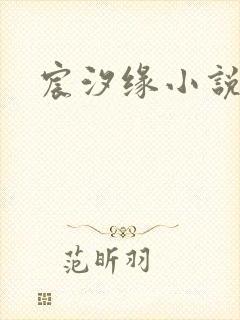 宸汐缘小说