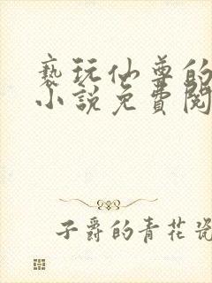 亵玩仙尊的道侣小说免费阅读