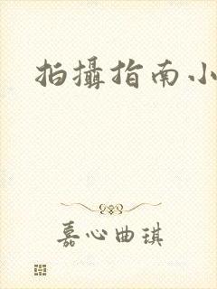 拍摄指南小说