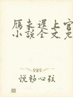 雁未迟上官穿越小说全文免费阅读