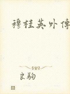 穆桂英外传