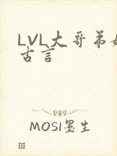 LVL大哥弟媳古言