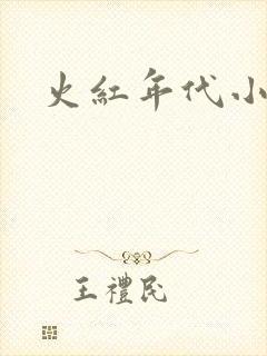 火红年代小说