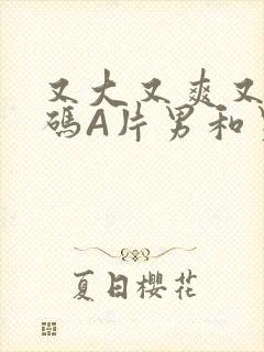 又大又爽又黄无码A片男和男