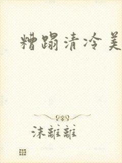 糟蹋清冷美人封面