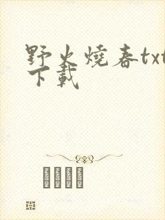 野火烧春txt下载