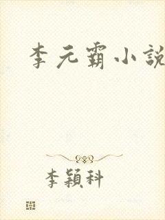 李元霸小说