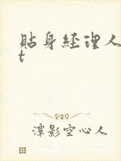 贴身经理人txt