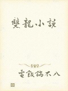双龙小说