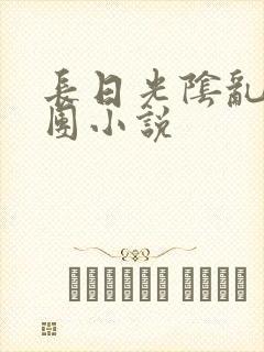 长日光阴乱作一团小说封面