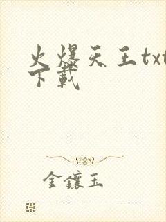 火爆天王txt下载