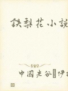 铁梨花小说
