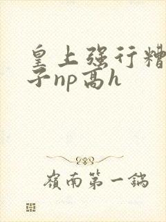 皇上强行糟蹋太子np高h封面