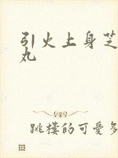 引火上身芝麻糖丸
