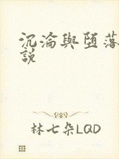 沉沦与堕落的小说
