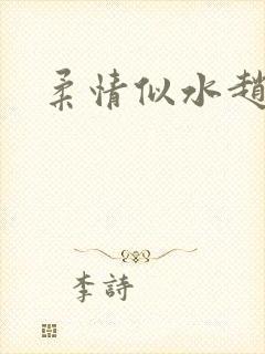 柔情似水赵雅儿