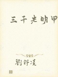 三千光明甲