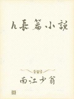 h长篇小说