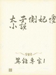 太子侧妃傻乎乎小说