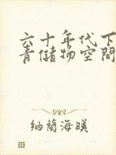 六十年代下乡知青储物空间